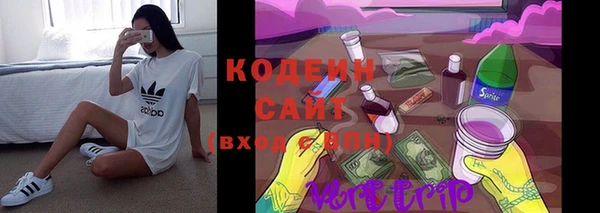 шишки Богородск
