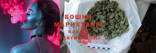 шишки Богородск