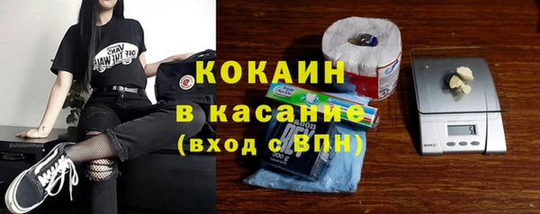 шишки Богородск